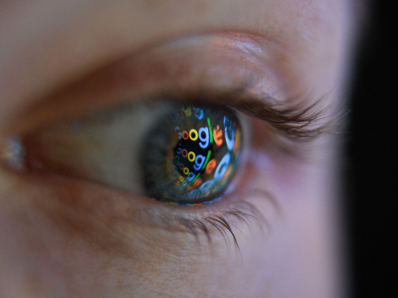 Google’s free AI isn’t just for search anymore