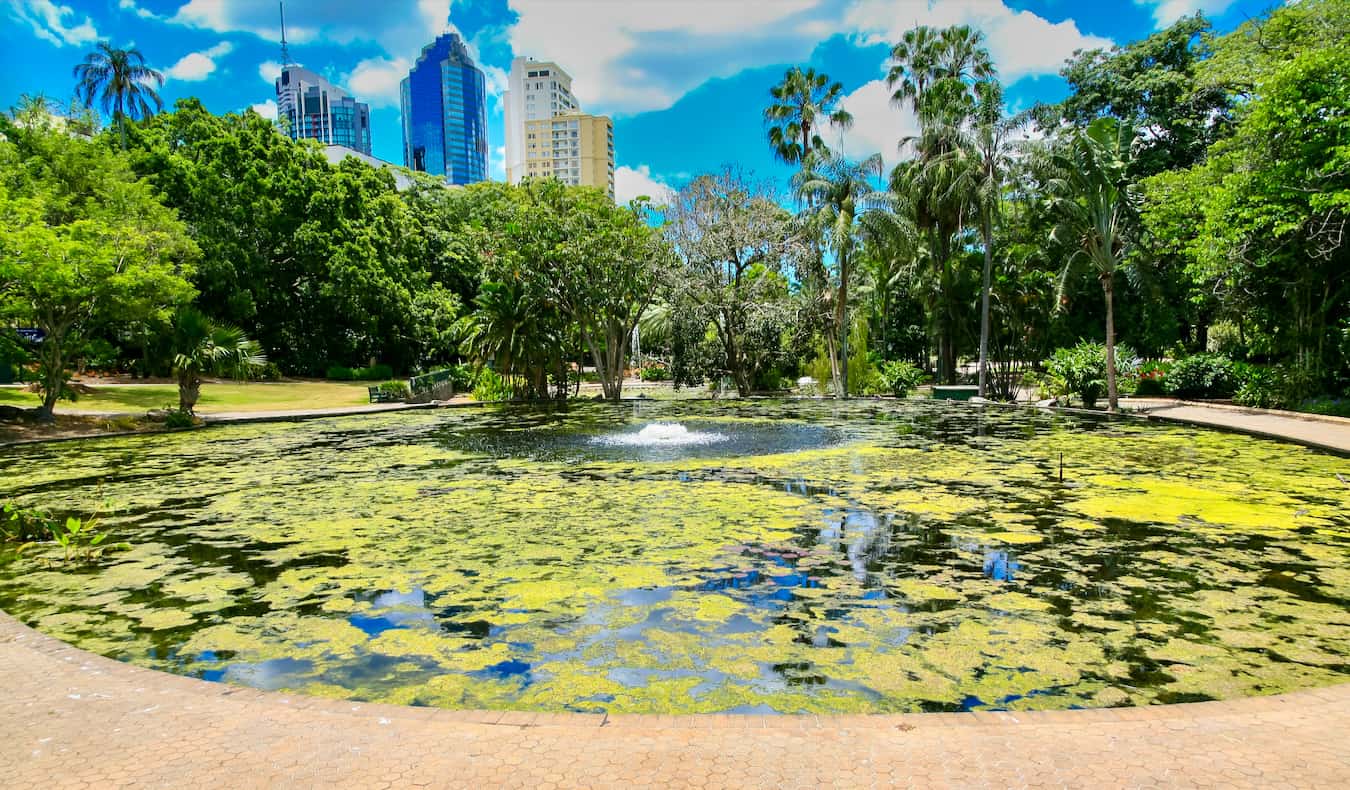 A towering and bustling downtown CBD of sunny Brisbane, Australia