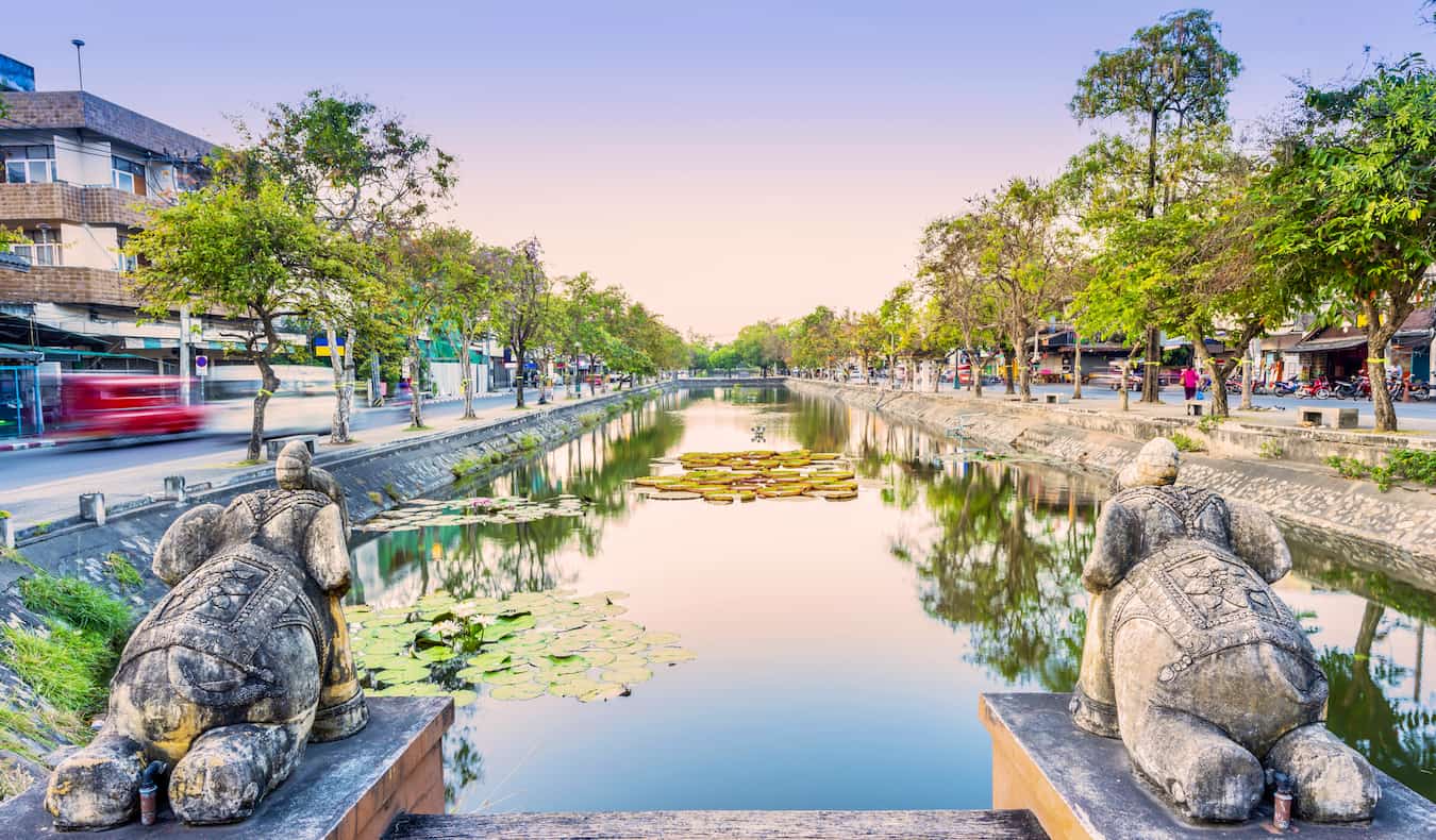 The 8 Best Hostels in Chiang Mai