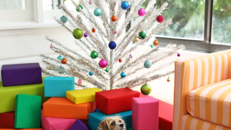 GIFT GUIDES 2024: DOG LOVER