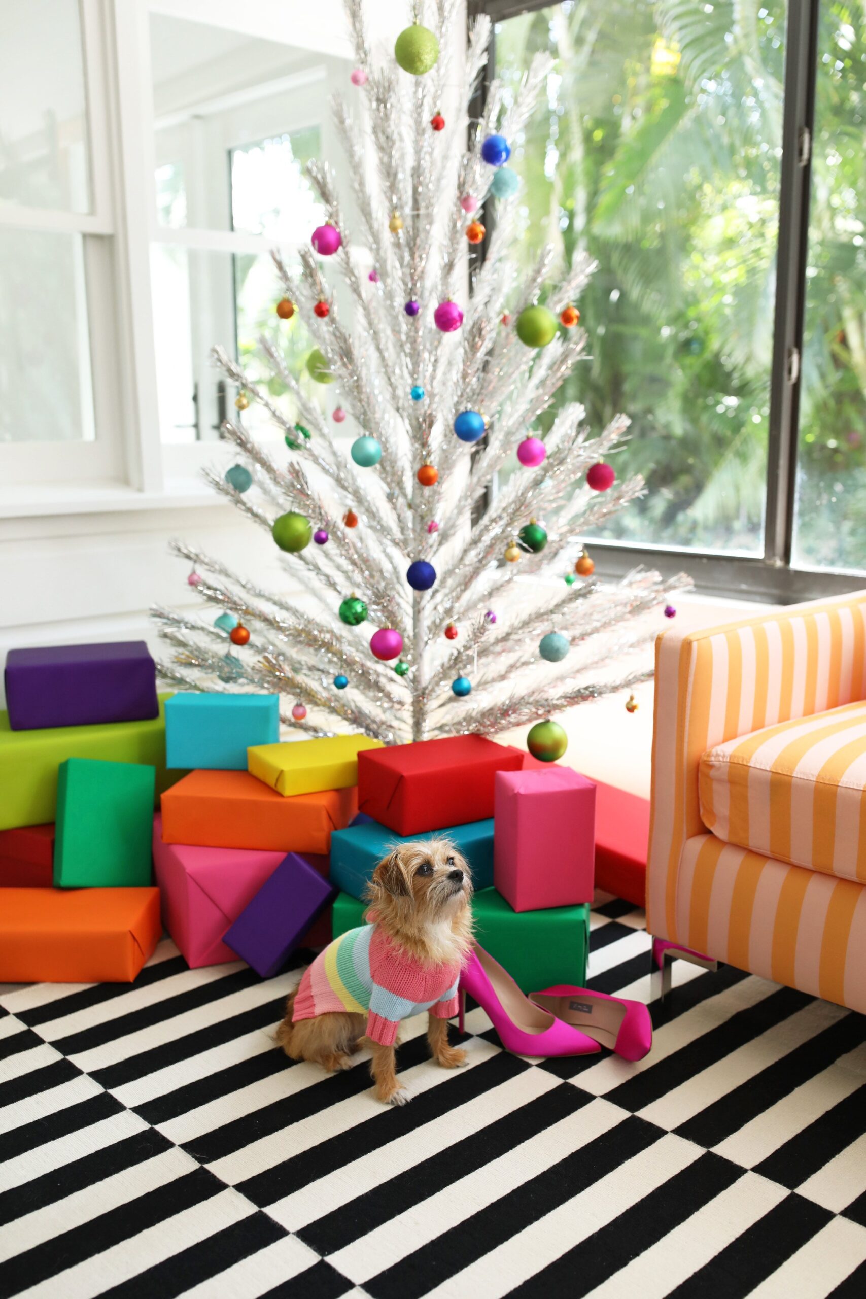 GIFT GUIDES 2024: DOG LOVER